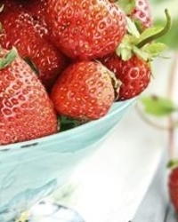 草莓营养丰富 正确清洗清除农药