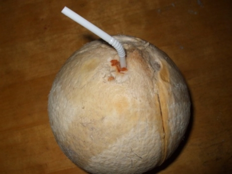 椰子怎么打开-椰子的打开方法