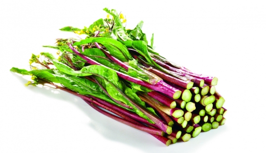 【红菜苔】红菜苔的功效作用，红菜苔的种植方法