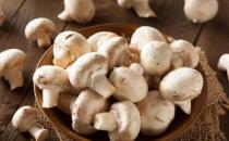 蘑菇减肥5个食谱吃了就能瘦下来 赶快收藏