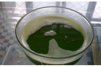韭菜生姜汁的材料 韭菜生姜汁的做法步骤