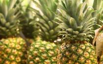 菠萝的7大养生功效 史上最全菠萝美食做法