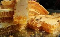 蜂蜜被称为平价燕窝 储存方法有讲究