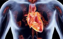 心肺好更健康更长寿 能够促进心肺功能的运动