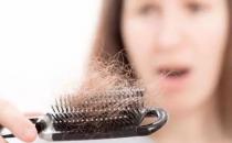 职业女性经常性掉发的原因  脱发的饮食调理