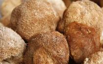猴头菇有荤中素之称 猴头菇的家常做法