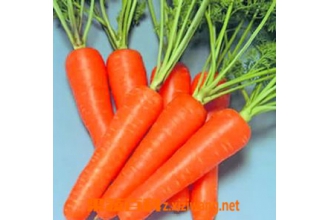 胡萝卜的营养价值 胡萝卜防癌抗癌作用